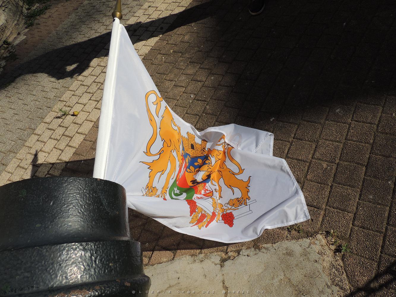 2018 07 05 TOULON LE CNR REND UN HOMMAGE AUX VICTIMES DU 5 07 1962 D ORAN (7).JPG -           